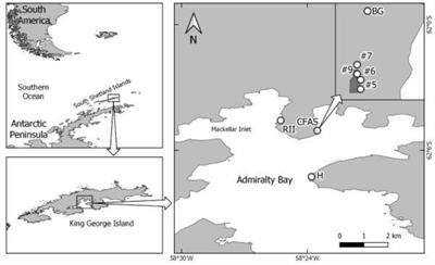 Temporal Distribution of Arsenic and Metals in Soil From King George Island, Antarctica